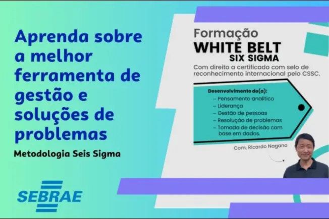 Seis Sigma é ferramenta de melhoria contínua para as empresas - Sebrae